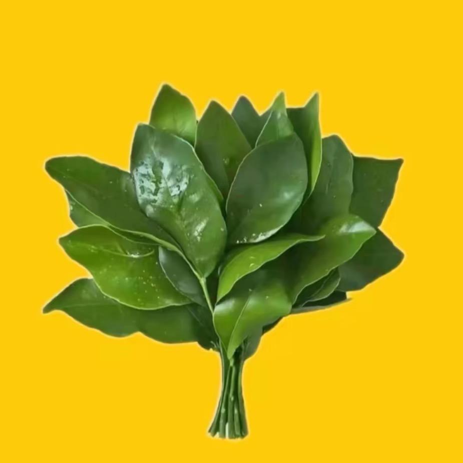 AAA建材批发静姐🍀