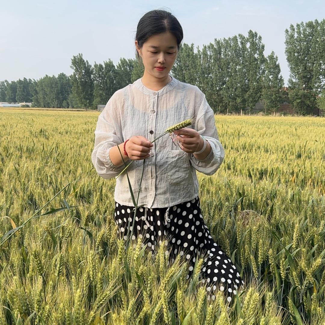 绿洲农田