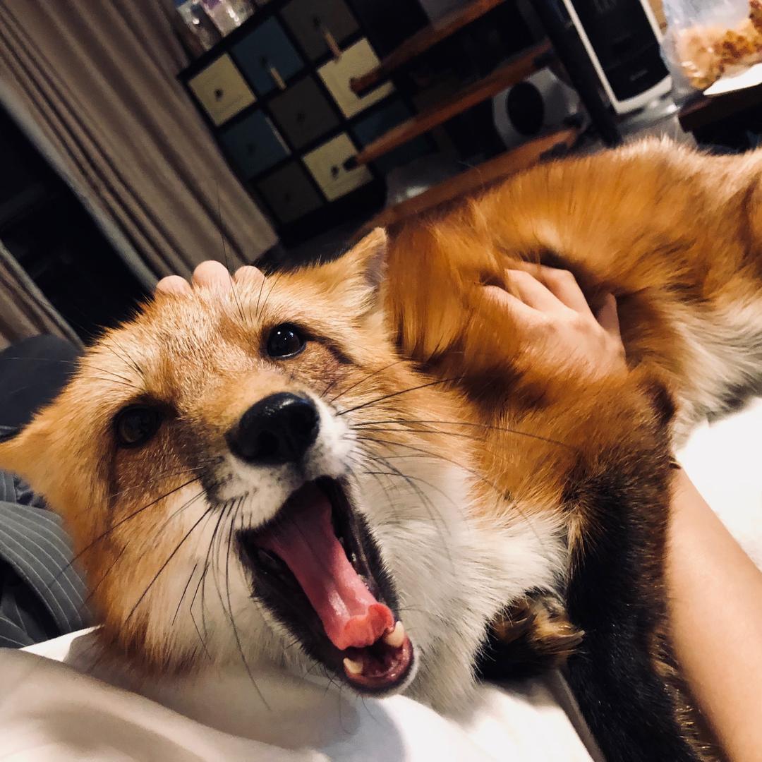 是小新呢