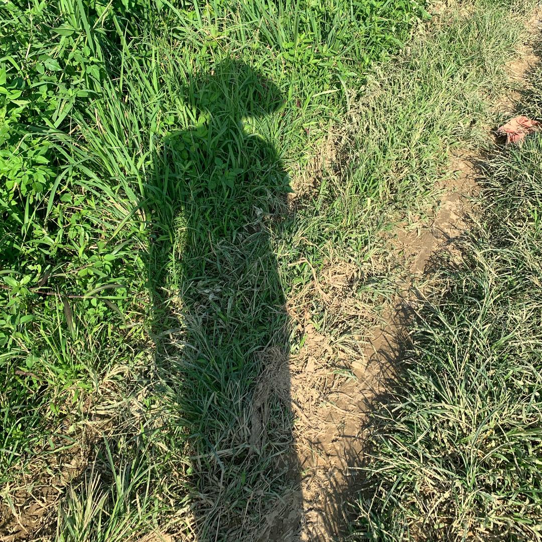 农夫果园🧑‍🌾