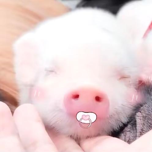 别打了我是酱油等800个人