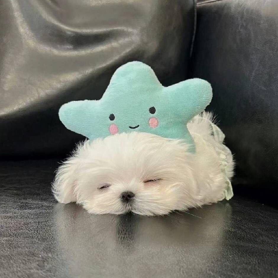 开心的小青蛙🎀🌈☀️