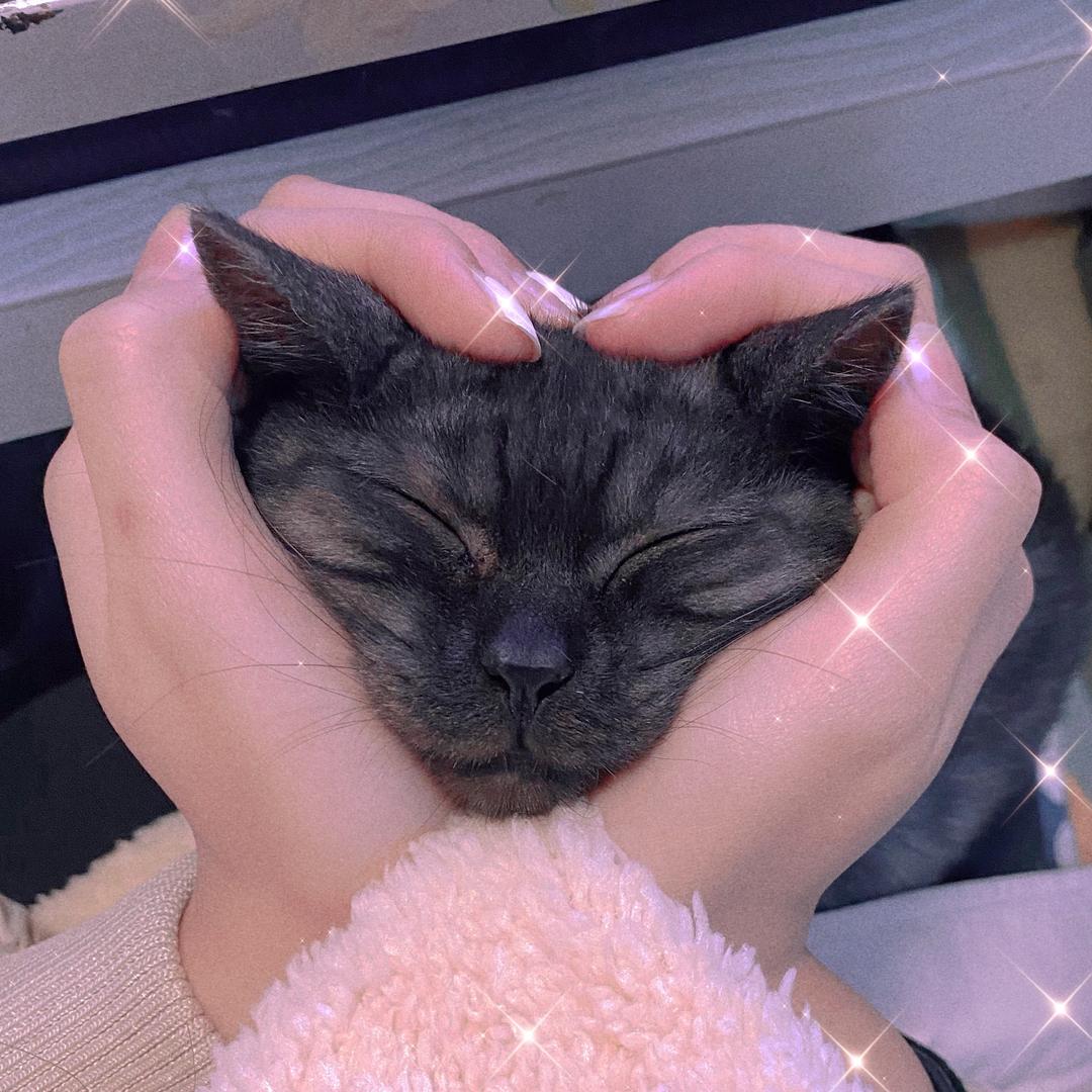 柠🍋檬