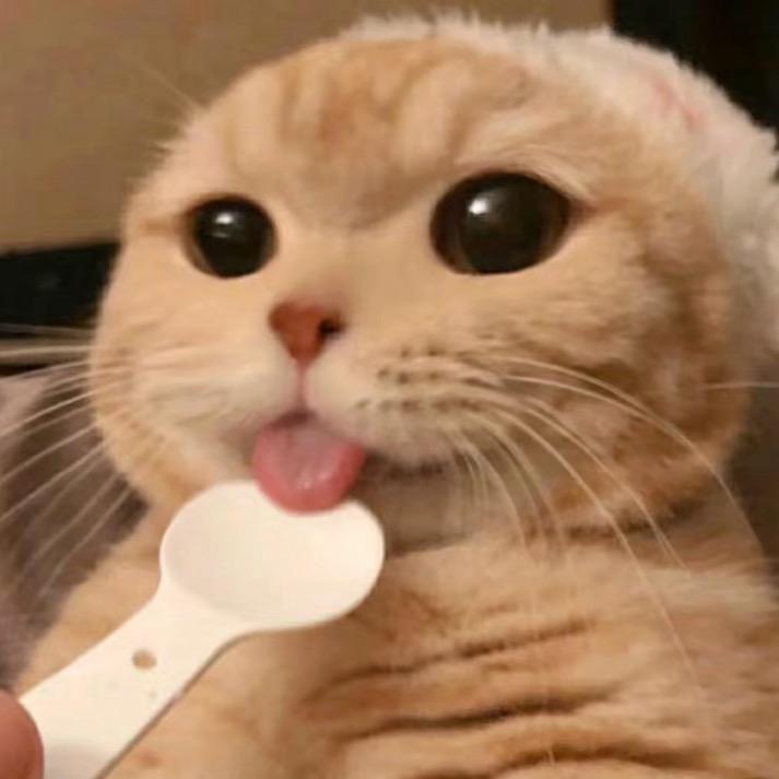 萤火突击的吃