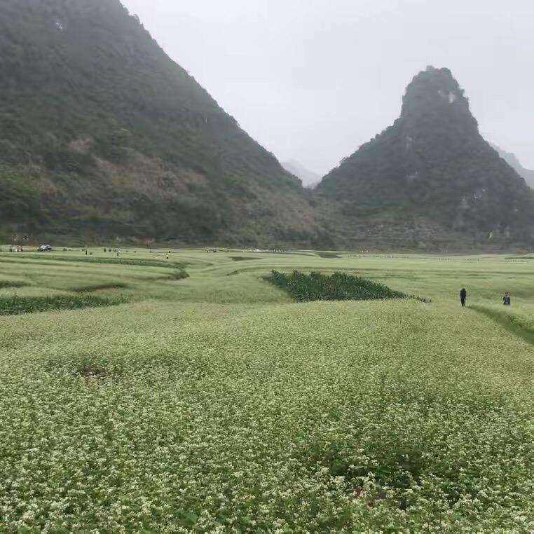 平平安安🙏🏼🙏🏼🙏🏼