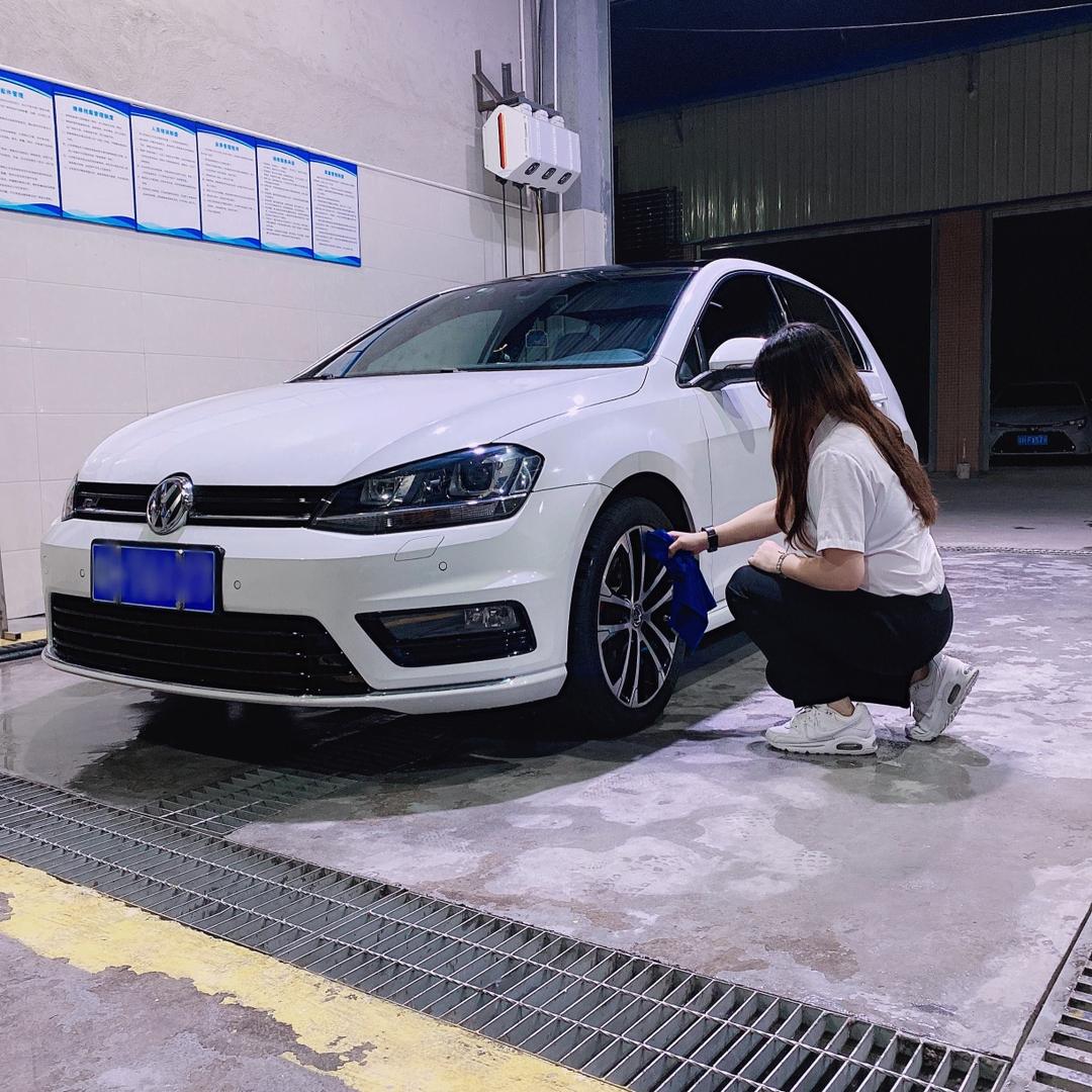 🌱树苗🌱