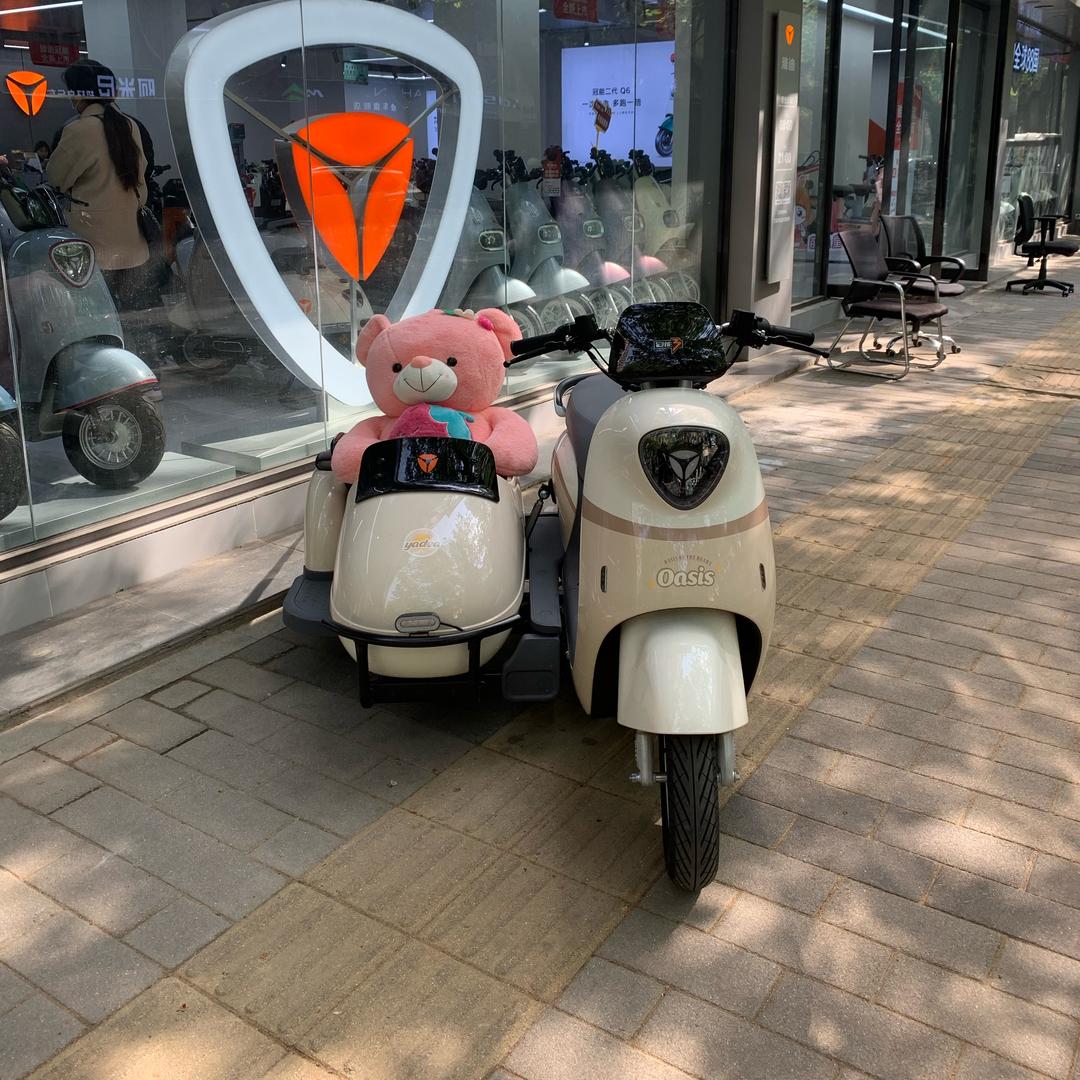 💞ℳღ᭄一个大王两小王꧔💞