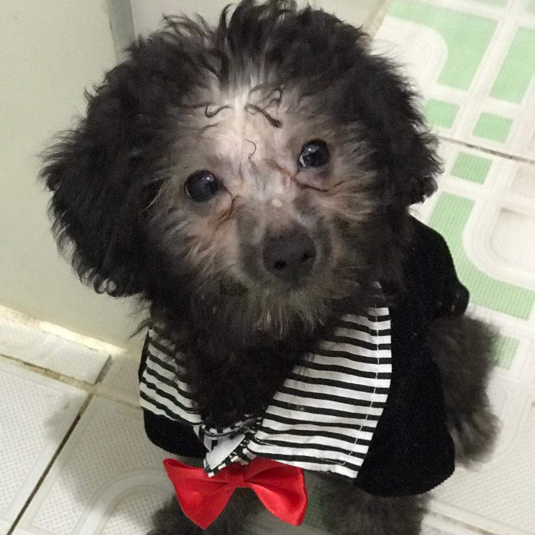 小熊是不樊人的小妖精