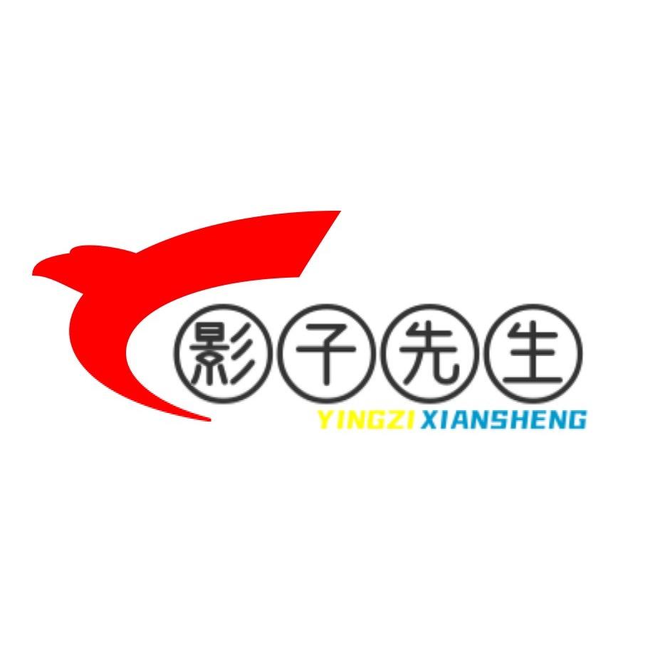影子先生V