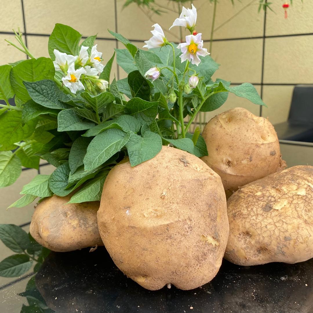黔威好农家