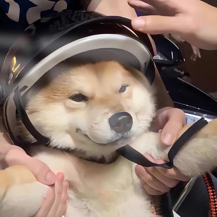 老奶奶扶我闯红灯