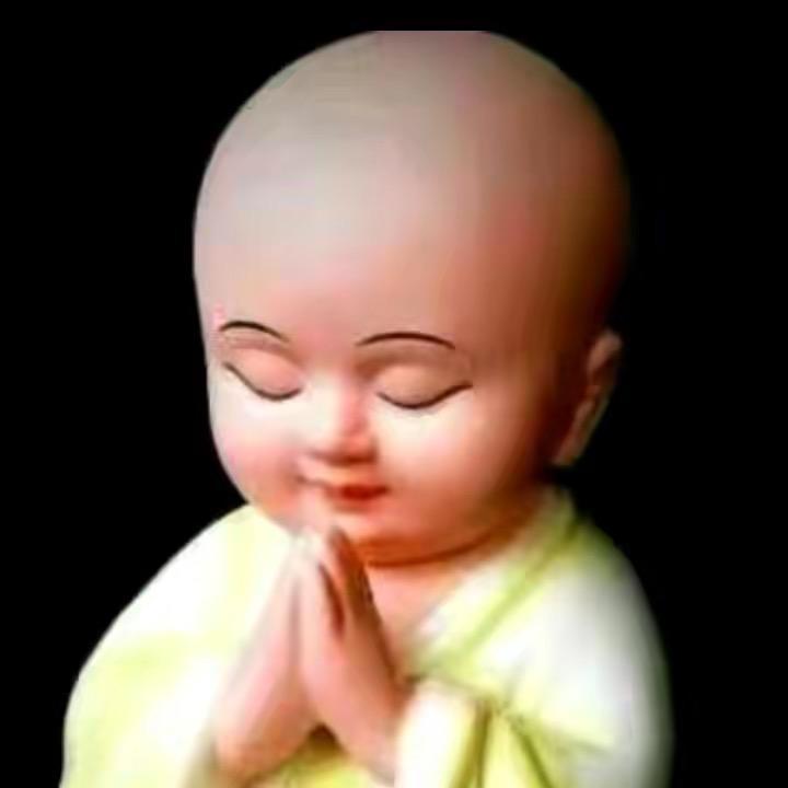 孤鹰