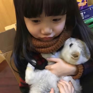 倪叠