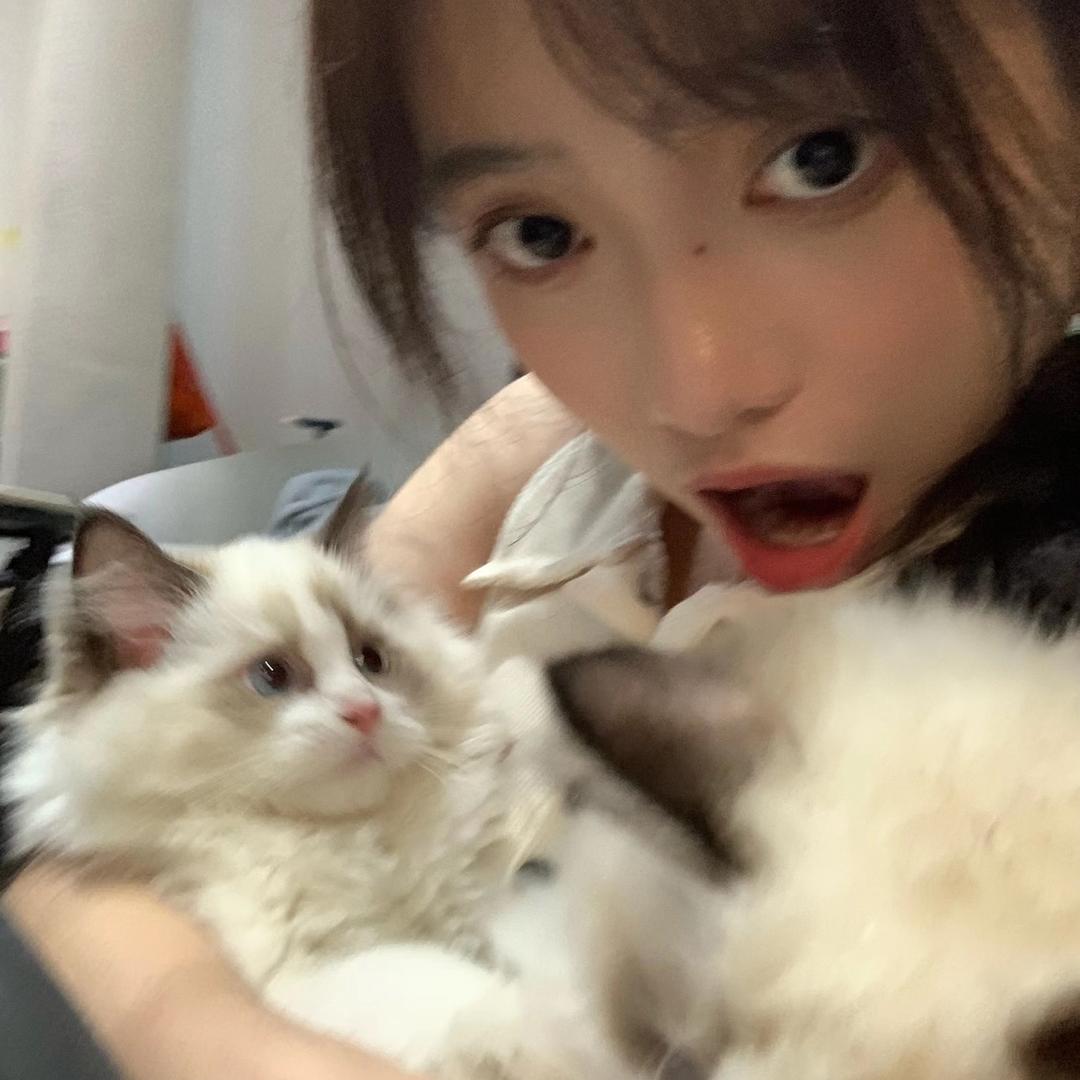 潘潘潘♐