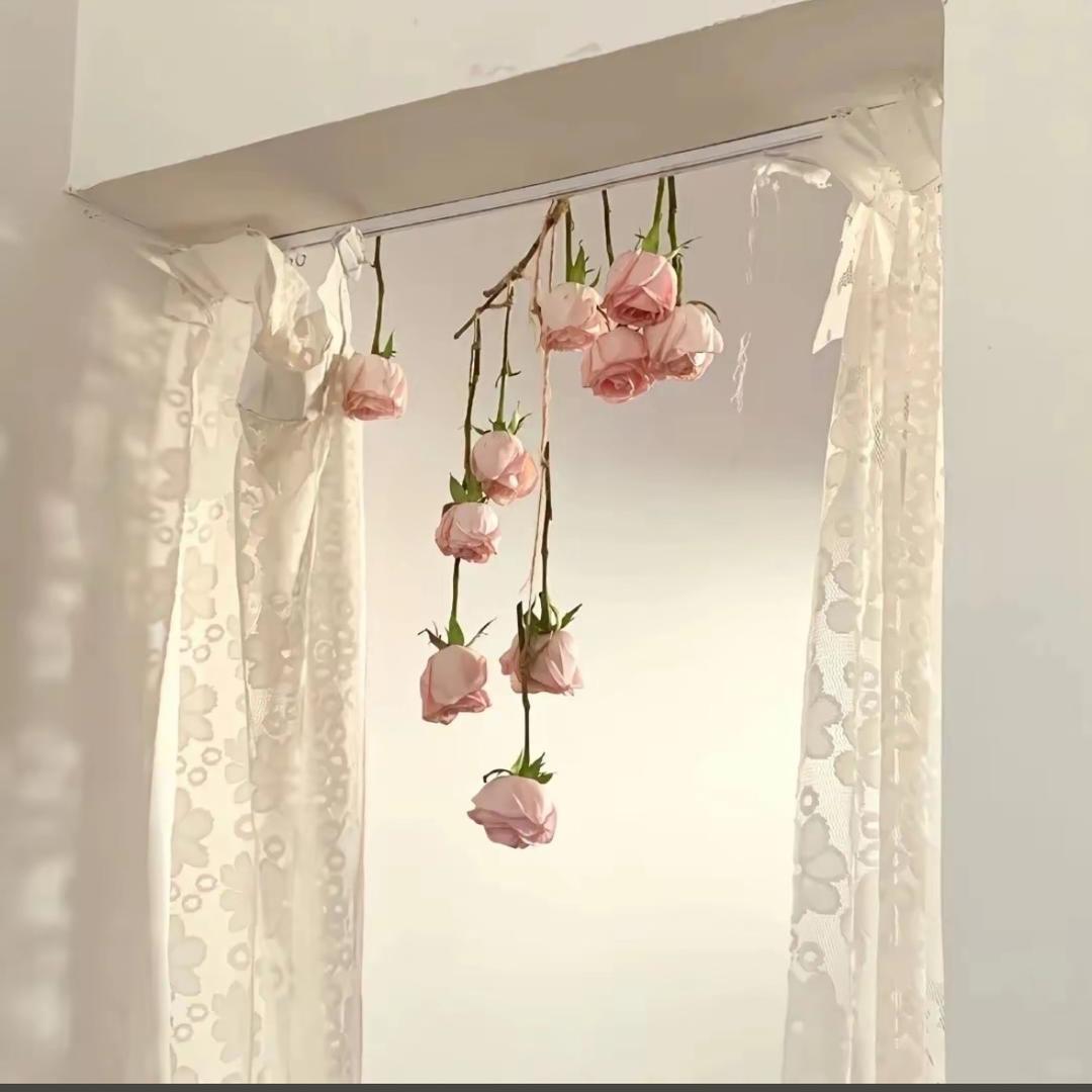 小熊ꪔ̤̫白桃罐🫙