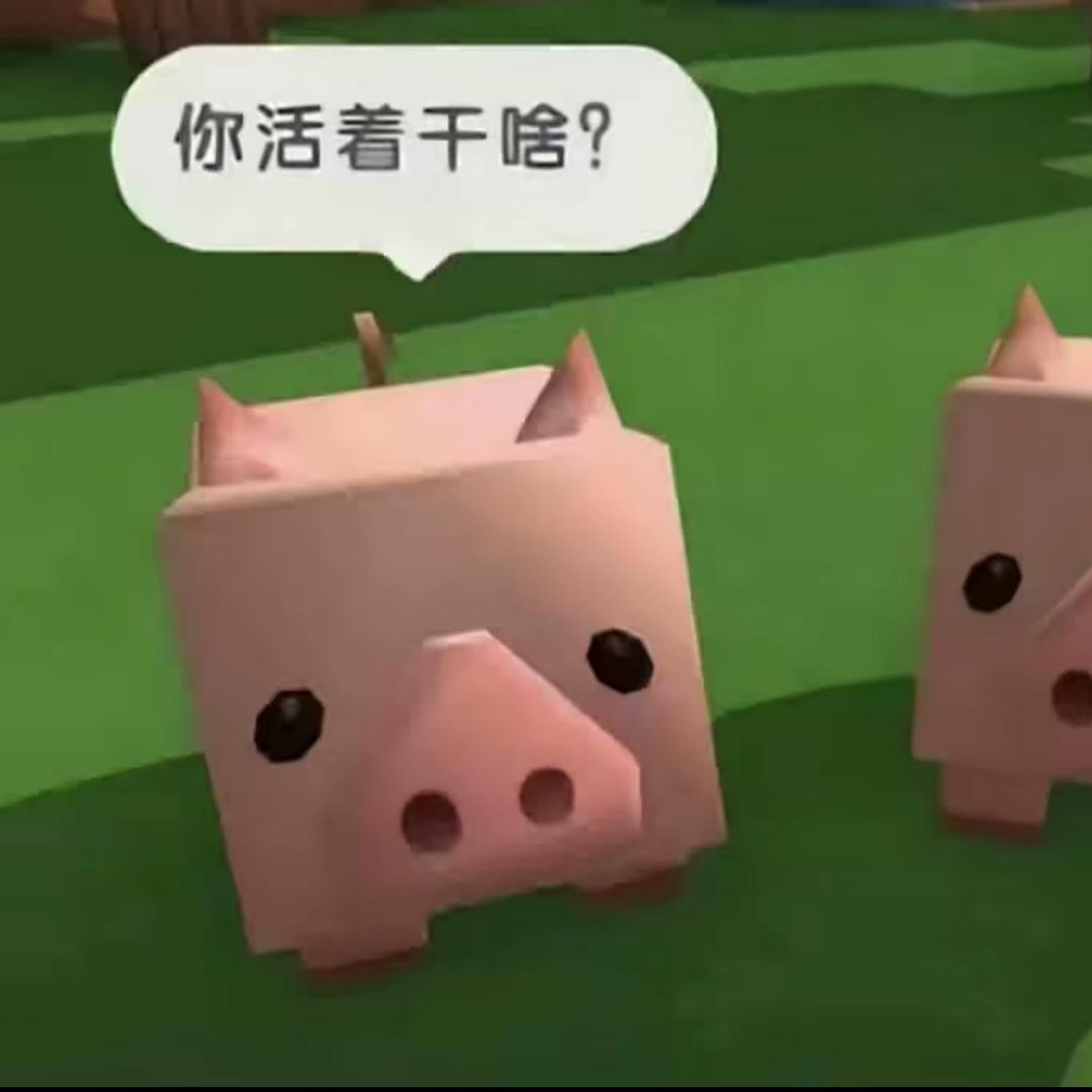 爱吃火锅的猫
