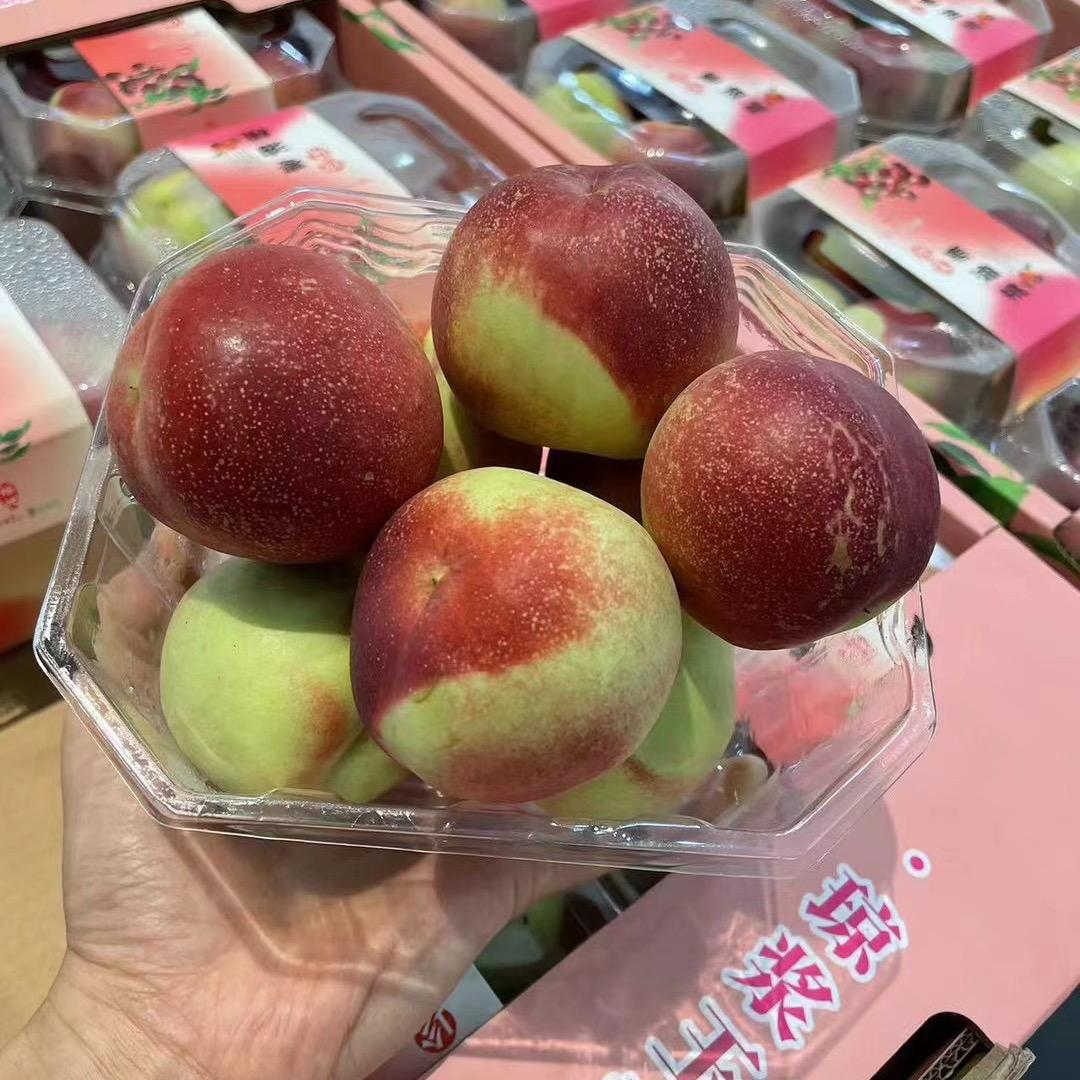 小🪨