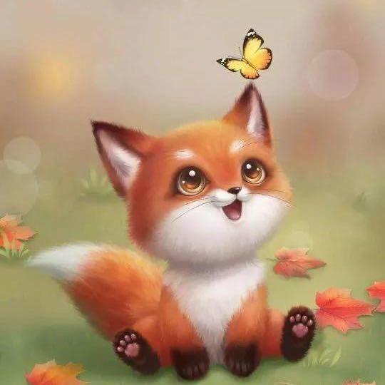 🦊锦狐🦊