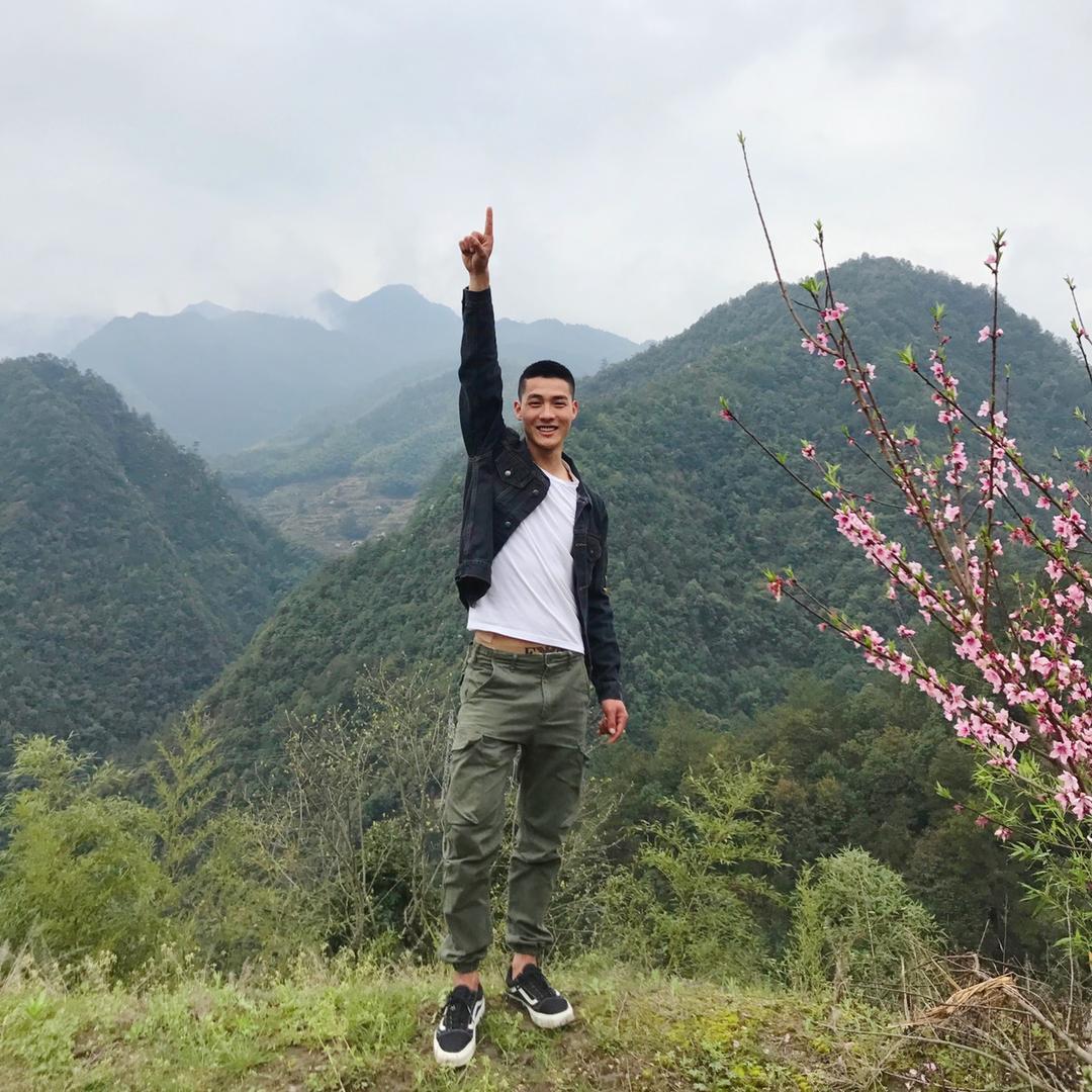 大山里的秘蜜