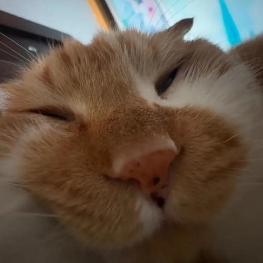 请早睡💎💎💎