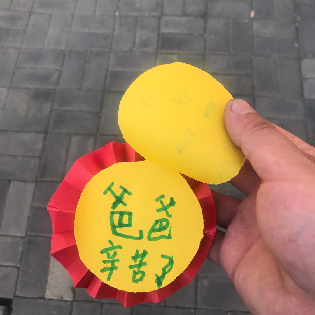 小张爱养鱼