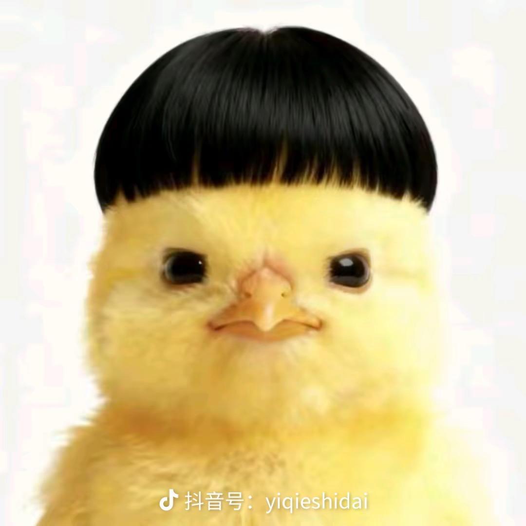 爱吃马铃薯的土豆