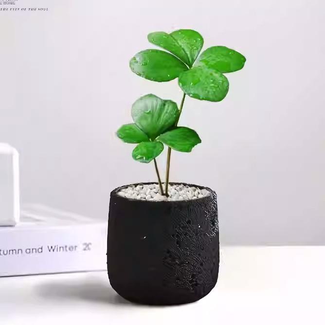 植物漂流记