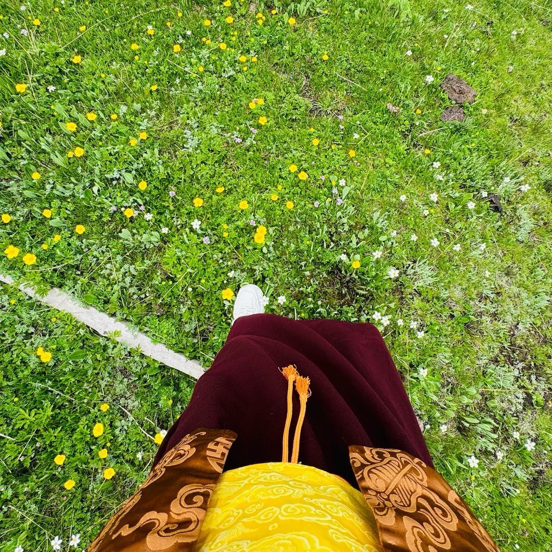 🪷 慈悲🪷