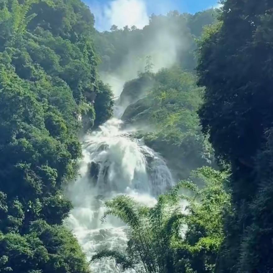 ゛噓。低調࿐ 🕊