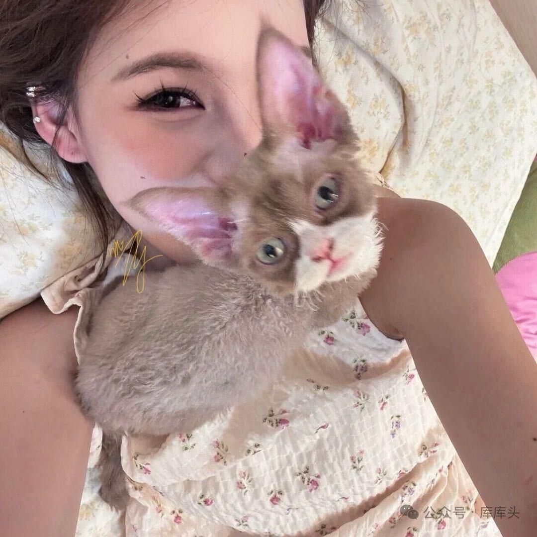 伤心小猫电台