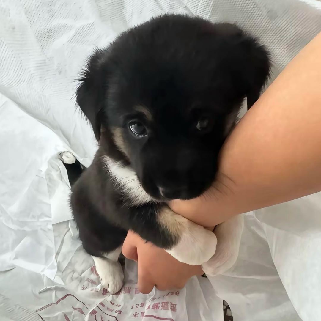 神经。。