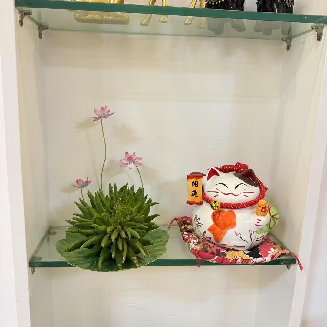 旋慈农产品