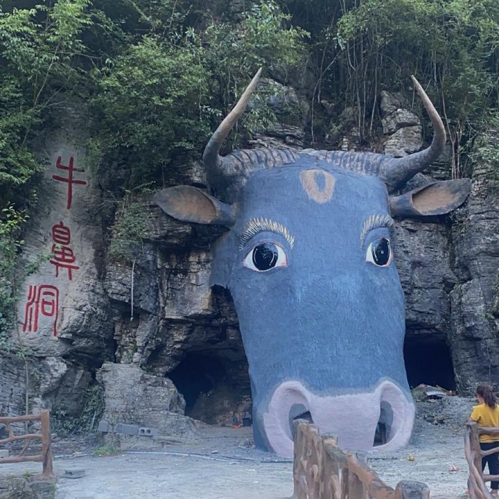 花坪牛鼻洞（洞主直播）