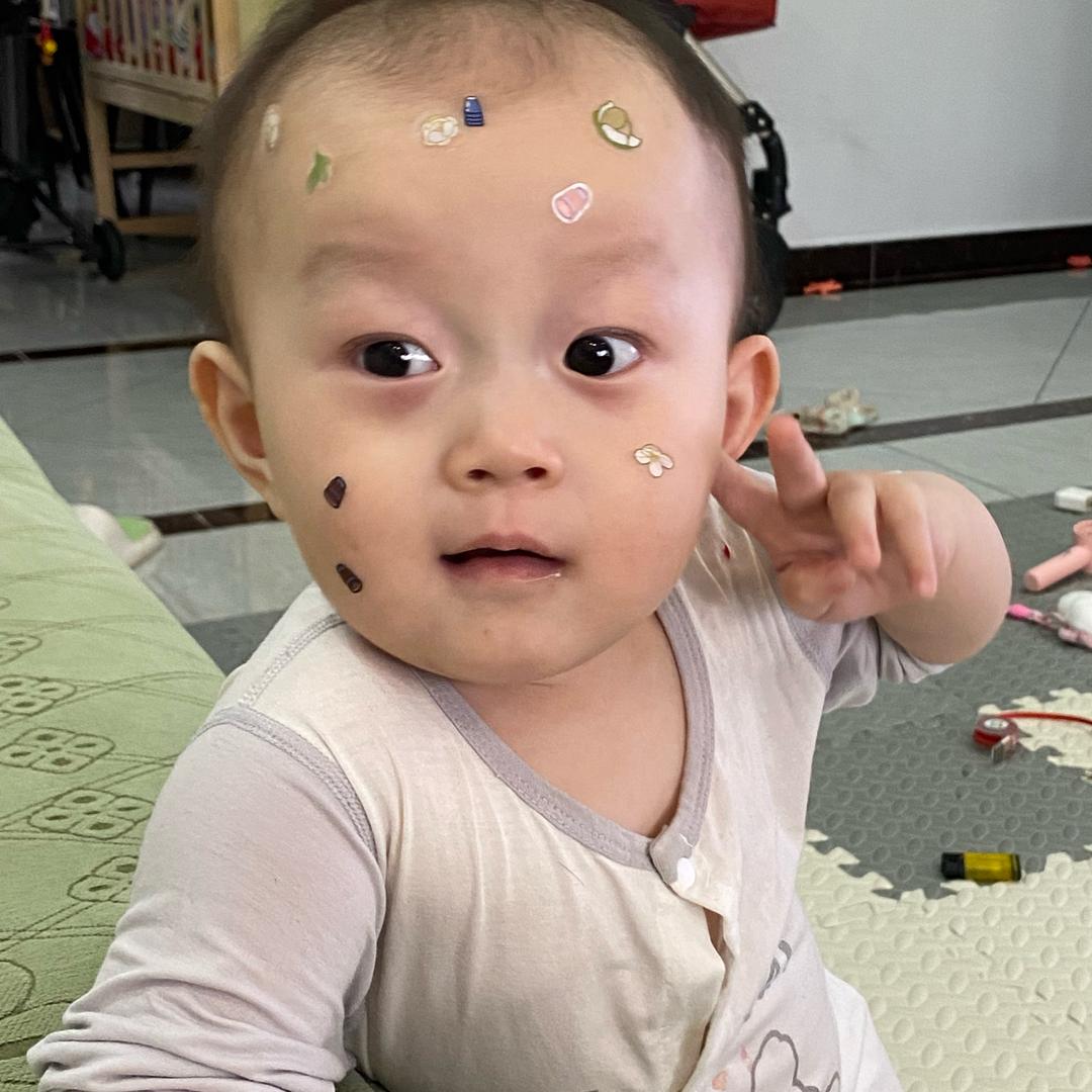 想养¹只鲨鱼🦈