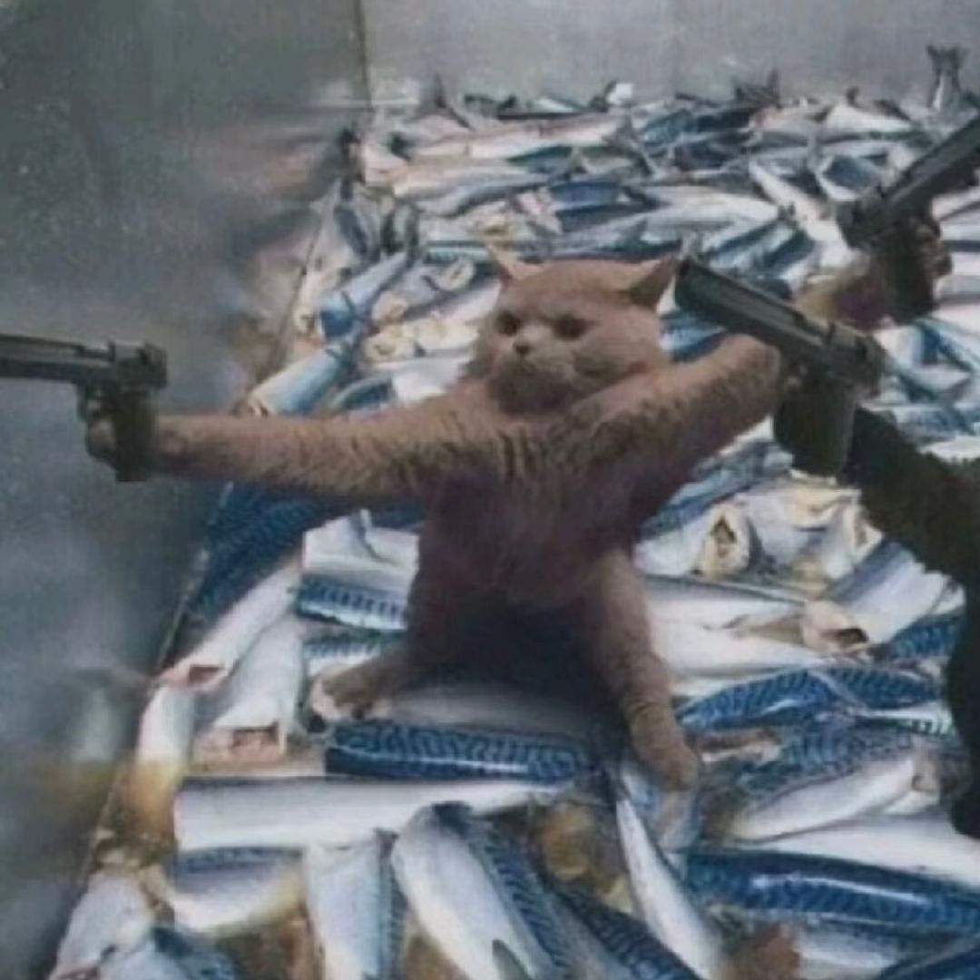 𓆡𓆝𓆟𓆜𓆞𓆝𓆟𓆜𓆞