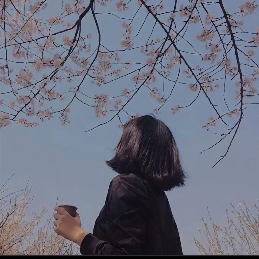 琪琪琪