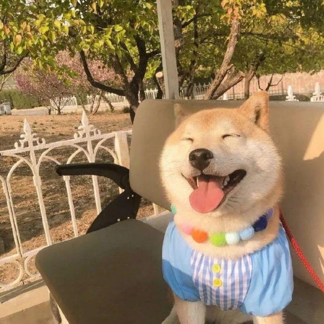 太一.