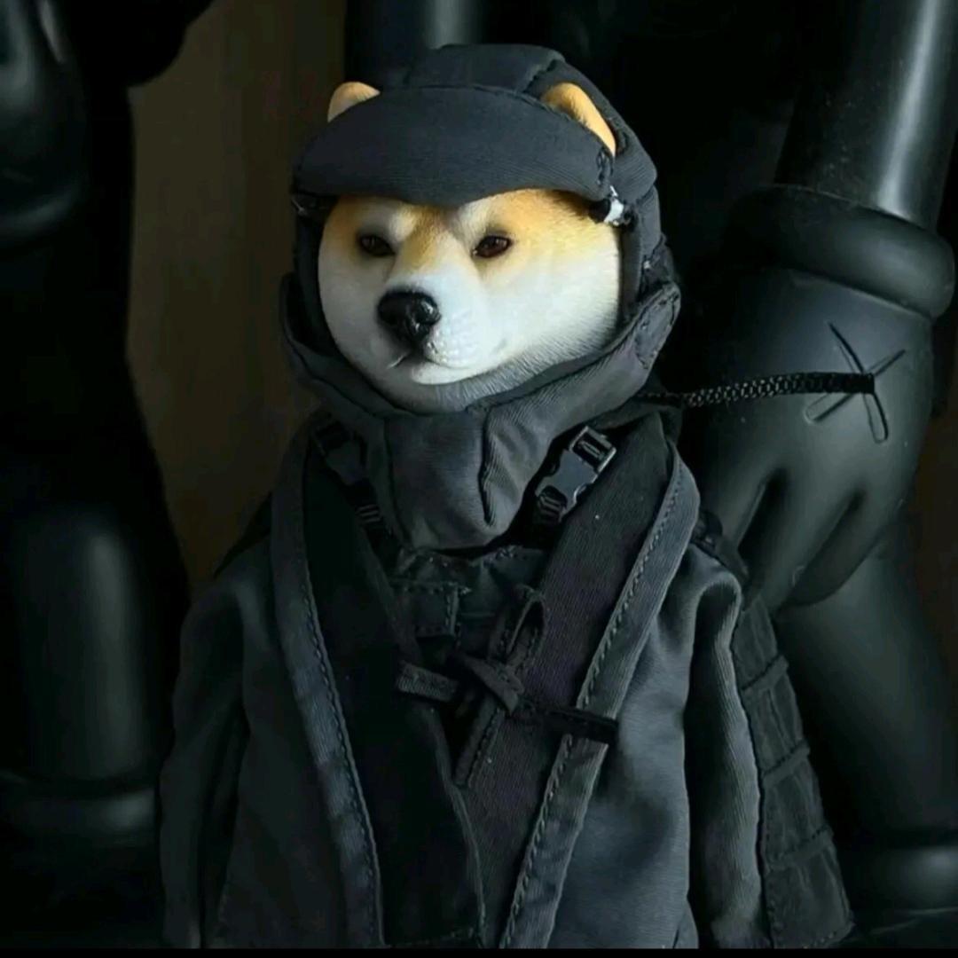 敢敢.