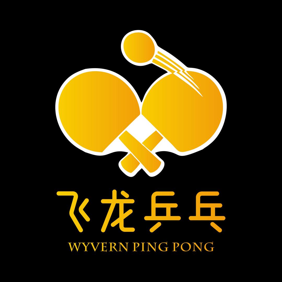 飞龙乒乓（回收或置换）