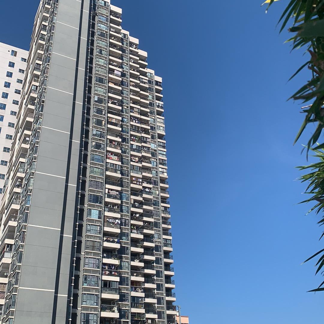88年的母亲