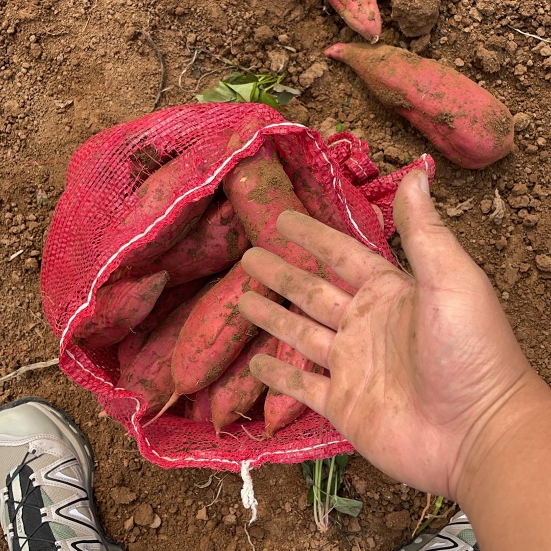 汝意果蔬