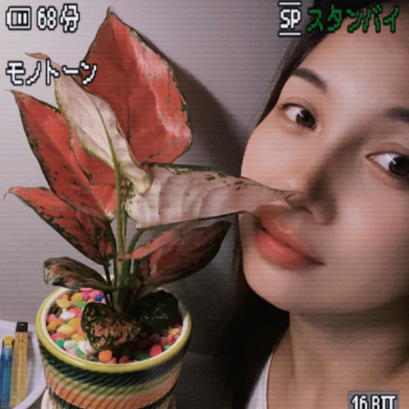 辛小姐