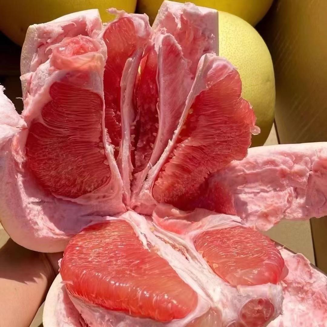 并并不吃