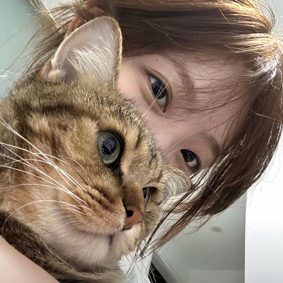 不想说晚安