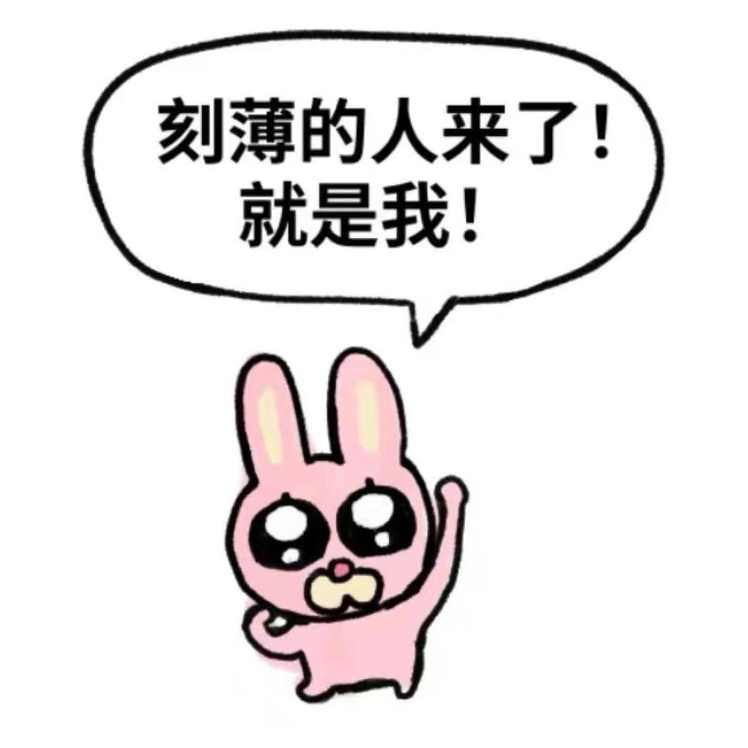 天天装萌被人追杀头像