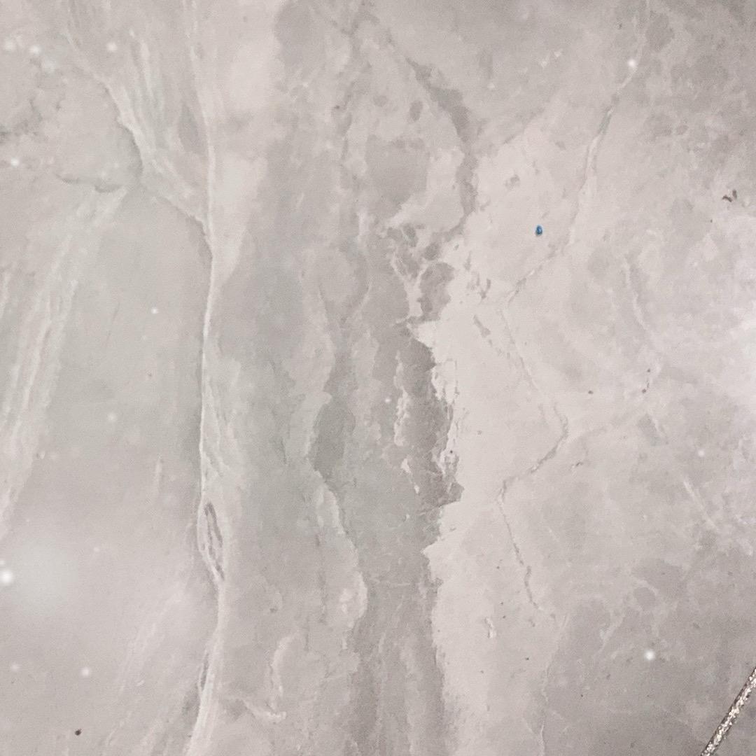 大型