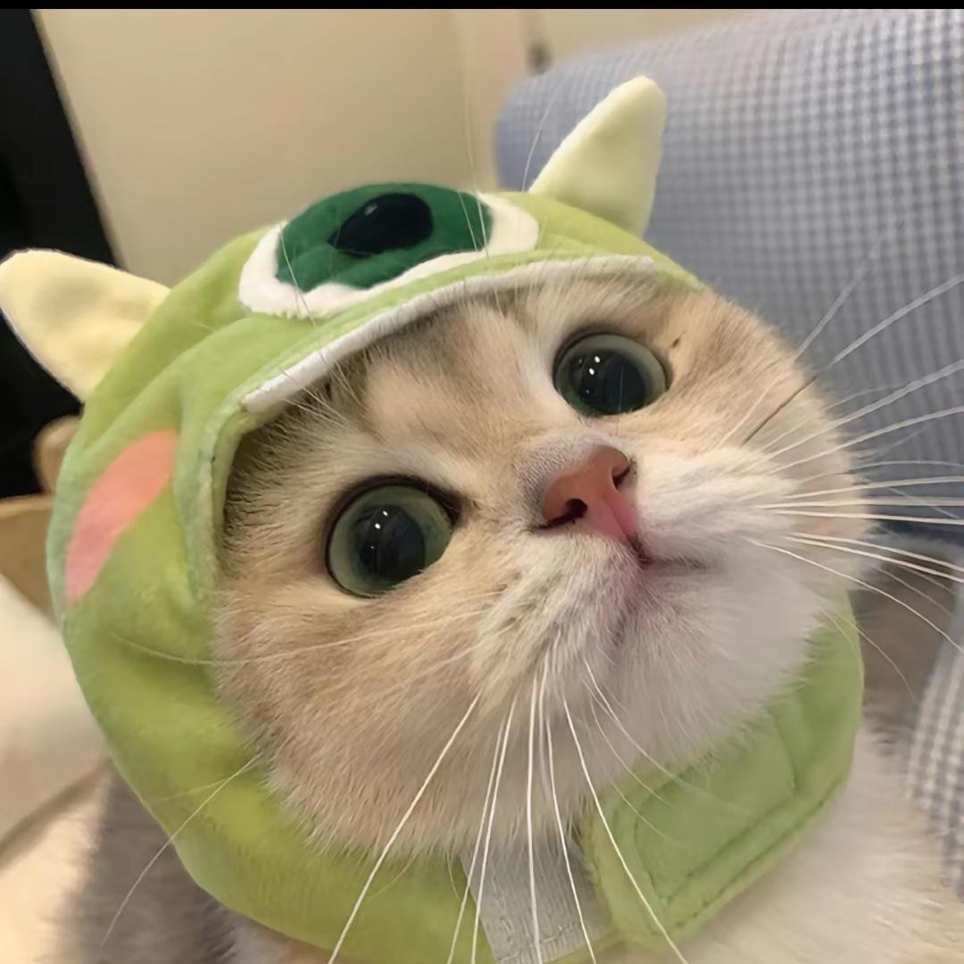 智习室精准提升