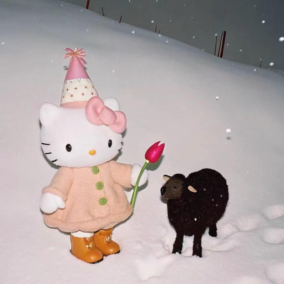 人间富贵花