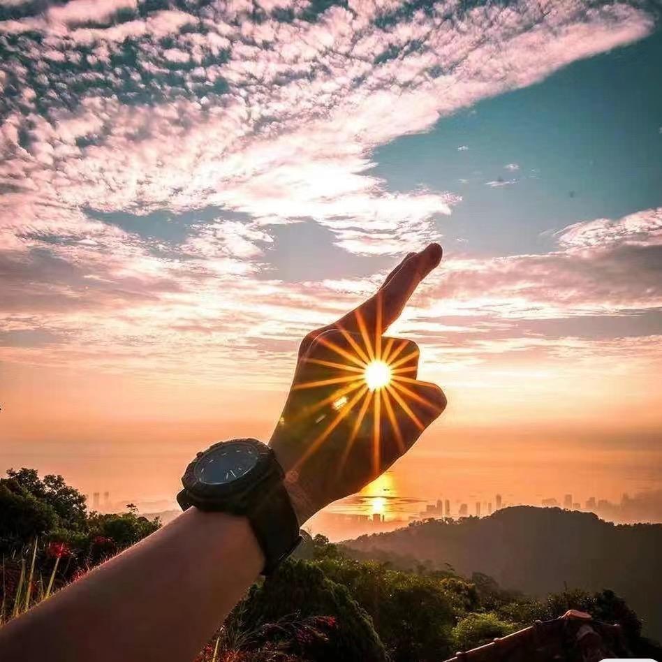 众所周知的宠爱🌹