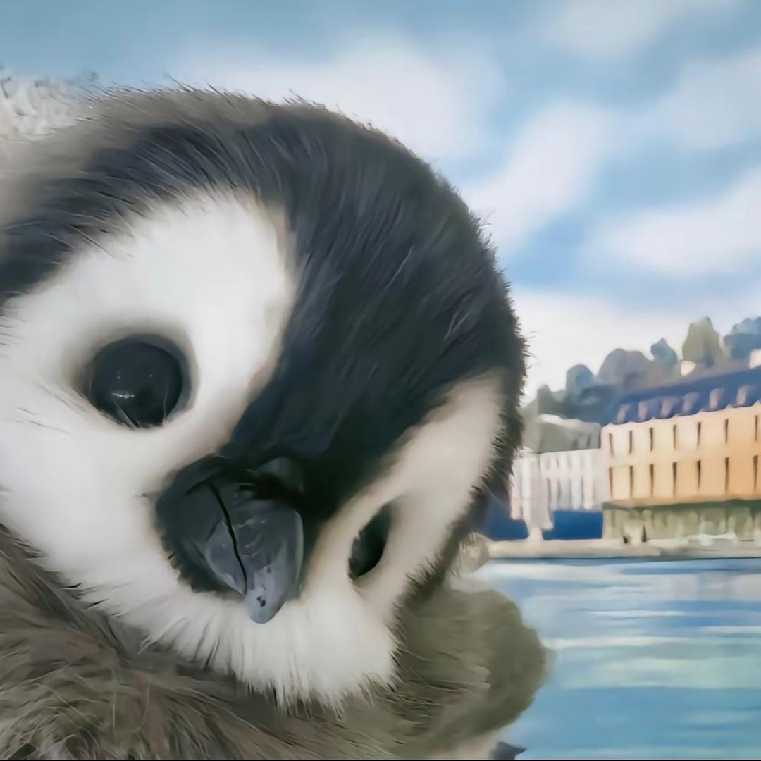 🌈🌈快乐的安晚